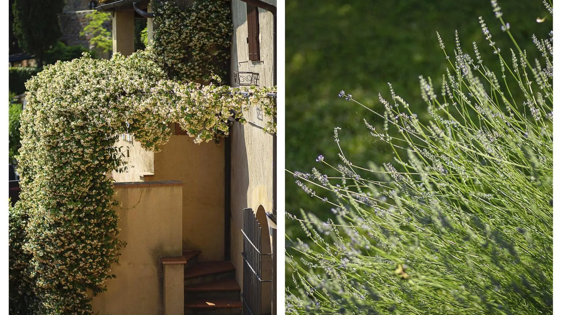Villa Giorgia San Gimignano Italy